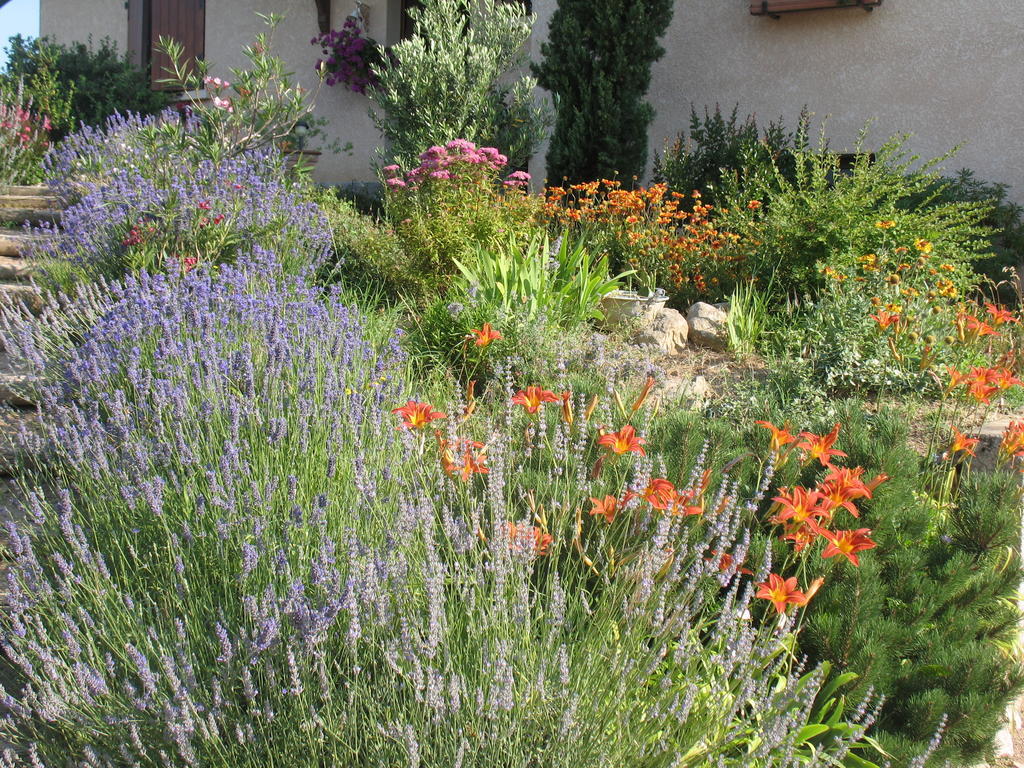 Les Glycines - Domaine Gilles Coperet Bed & Breakfast Régnié Екстериор снимка